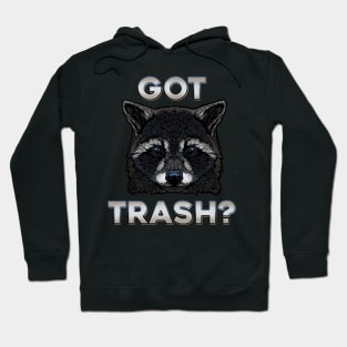 Got Trash? Raccoon begging Hoodie